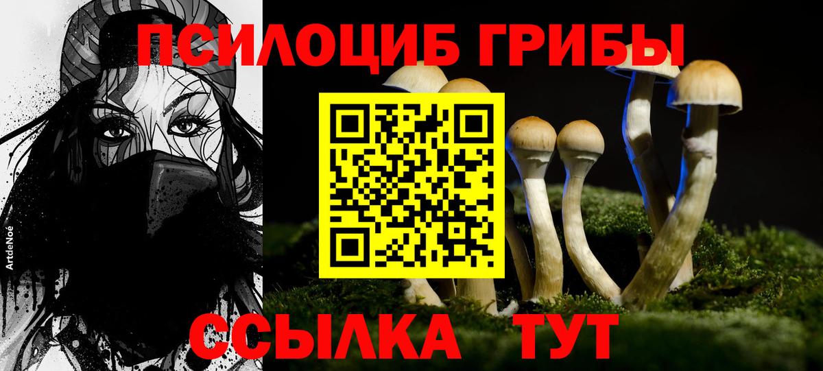 Брянск  Галлюциногенные грибы ЛСД  Псилоцибиновые грибы Psilocybine cubensis  Вход с VPN 
